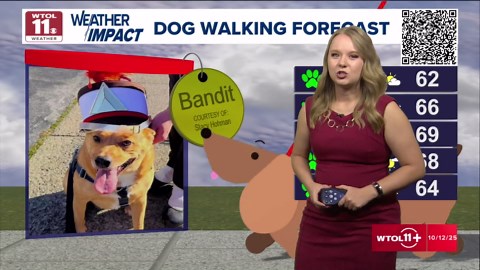 What's the weather today? WTOL 11 forecast calls for sunny, mild and beautiful fall day