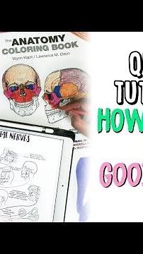 ☆ HOW I COLOR IN GOODNOTES | Quick Tutorial on iPad Pro 10.5 | September Studies