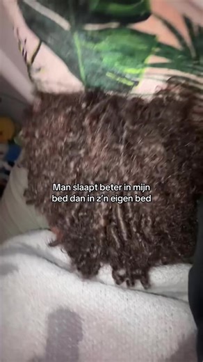 Verlies jezelf in Jägermeister met een comfortabele twist