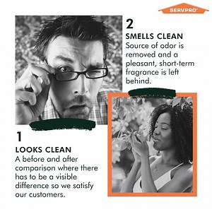 5.7K views · 29 reactions | What exactly does it mean to be clean? SERVPRO cleaning professionals define it this way. | SERVPRO | Facebook