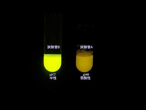 酵素の性質を調べる実験（ルシフェラーゼ） 高校生物実験