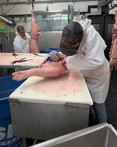 5.9K views · 112 reactions | Day in the life at Freedom Meat Lockers, featuring our custom cutting services. | Freedom Meat Lockers | Facebook