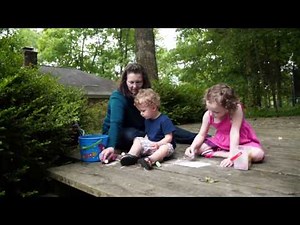 Hazardous Tree Assessment - Homeowners