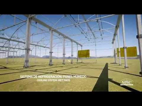 ¿Cómo se construye un invernadero?