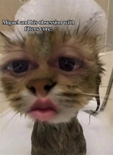 Miguel's Filter Obsession Explained