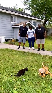 26K views · 826 reactions | Everyone was nervous except the kitten and me! Lol #lizard #exoticpets #reptile #iguana #pet #pets #animals #petlovers #petstagram #petlovers #foryou #petsofinstagram #RocketThelguana #dragons #reptilesofinstagram #cuteanimals #funny | Rocket The Iggy | Facebook