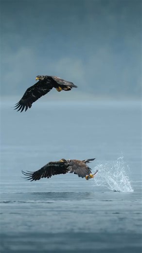 1.6K views · 15 reactions | Renting gear doesn’t need to be complicated.  Delivered to your door, anywhere in Canada  Arrives the day before your rental starts  Easy prepaid return shipping Simple. Reliable. Stress-free. | Canada Camera Rentals | Facebook