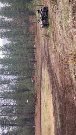 Turbo Timber EVO. 🤌