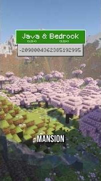 Beste DUO-Map! 🙂‍↕️ #minecraft #minecraftshorts #minecraftseeds