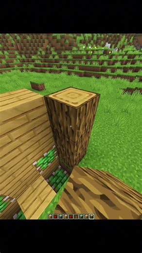 Minecraft Block Swapper 😲