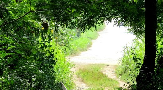 What is Spiritual Direction?