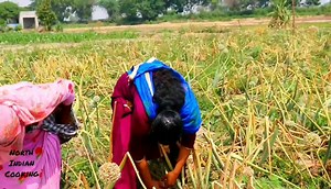 121K views · 363 reactions | Village Life of Punjab | North-Indian Cooking | Facebook