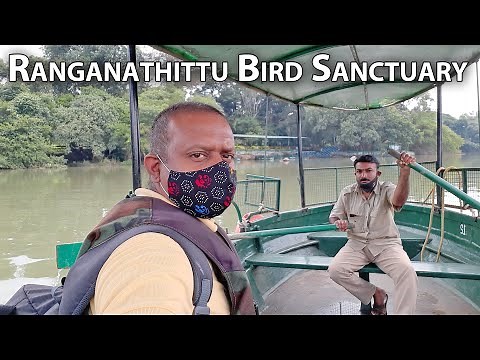 Ranganathittu Bird Sanctuary Srirangapatna Tourism Mandya Tourism Mysore Tourism Karnataka Tourism