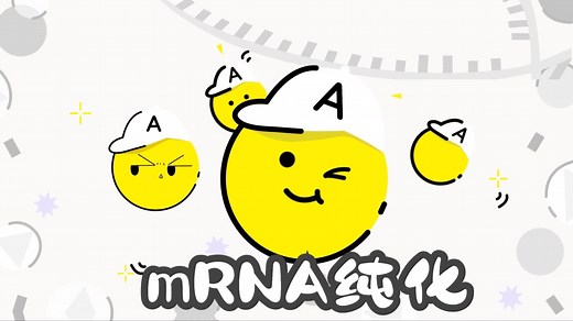 纯化mRNA，BIA“大白”强势出道！