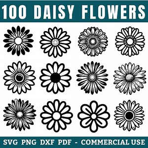Daisy Flowers SVG Bundle, Daisy Png Pdf Dxf, Vector Engravings, Flower Clipart, Instant Digital Downloads, Commercial Use - Etsy