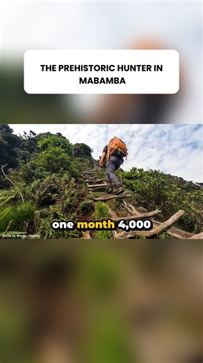 This Bird Didn't Blink for 40 Minutes Uganda grabbed me by the throat. I spent 30 days driving 4,000 kilometers through the most rugged parts of Africa. I did it with no safety net because the best views are earned, not bought. We started in Kampala and hit Lake Victoria. It is a body of water so large it would swallow the entire country of Ireland. The real test was Mabamba Swamp. I sat in a wooden boat and stared at a shoebill stork for 40 minutes. It stood like a statue until it struck. It cr