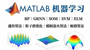 我居然只花了14小时搞懂了【MATLAB机器学习】四大优化算法：遗传算法 粒子群优化 模拟退火算法 蚁群算法 决策树与随机森林！降维、BP神经网络