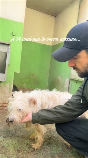 qualazampa.thomas on Instagram: "Questa famiglia aveva già scelto. Aveva detto sì a Libero. Aveva preparato il tempo, lo spazio, le cure. Poi Libero se n’è andato prima di arrivare. E quello che doveva essere un inizio è rimasto sospeso. C’era una casa pronta e nessuno da aspettare. Un amore interrotto che poteva richiudersi su se stesso. Invece no. Hanno deciso che quel tempo non sarebbe stato buttato via. Che l’attesa non sarebbe diventata vuoto. Così Rigo è entrato in quella storia non come u