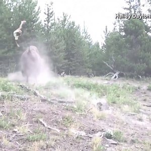 919K views · 1.4K reactions | This video is making a lot of people...