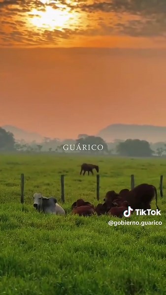 Descubre la Belleza de Guárico, Venezuela