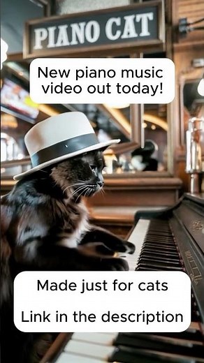 Cat Playing Piano in Jazz Café | Relaxing Jazz Music for Cats & Kittens