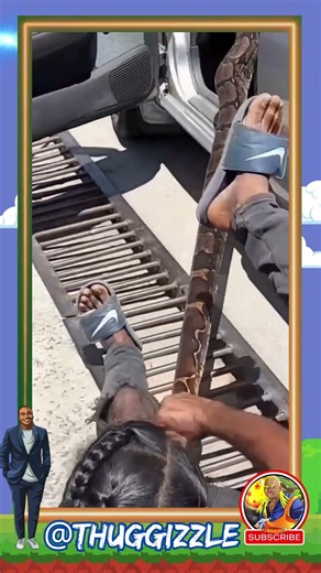 Meanwhile On The Way To Work #shorts #viral #fyp #animals #outdoors #funny #lol #laugh