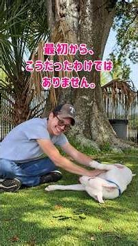 「ちょっと変わった子」と言われていた保護犬ラリー｜コンストラクショナル・アフェクション