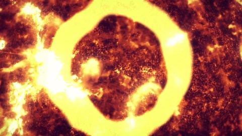 We Barely Escaped a Solar Flare Catastrophe