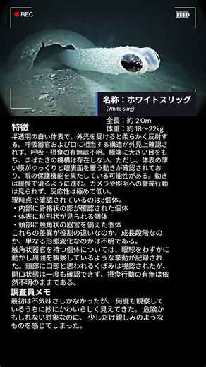 海底UFO調査記録_報告書01 #ai #AIホラー