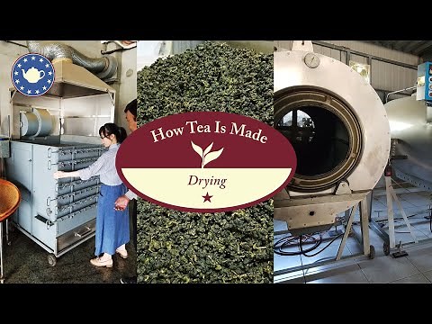 How Tea is Made: Drying