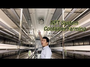 How Does NFT System Container Farming Work? A Real-World Tour Inside a Lyine NFT Container Farm