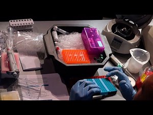 Educator's Guide to Nanopore—Microbial Isolates: Library prep – DNA end repair and barcoding