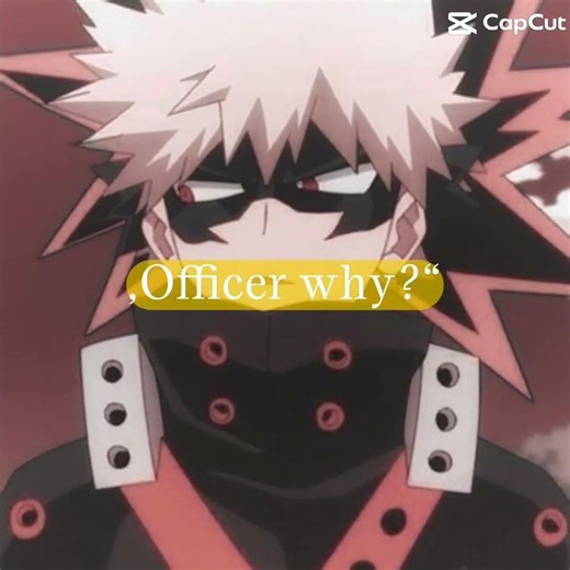 #mha cops don't like me katsuki and kirishima