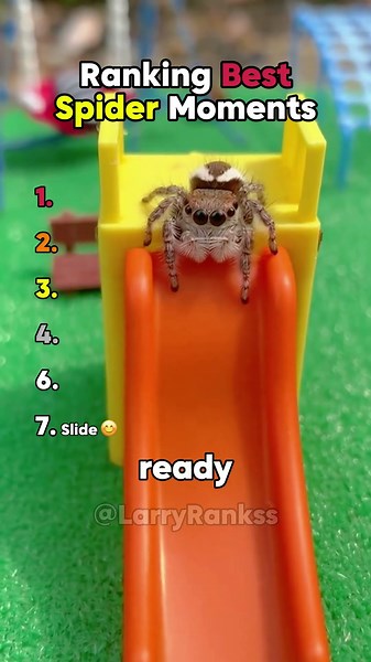 Ranking Best Spider Moments