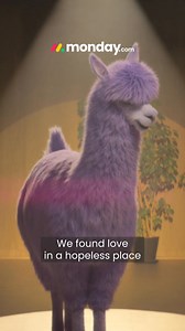 73 reactions | Finally, a work platform your team will actually love to use so they can focus on what matters most. | monday.com | Facebook