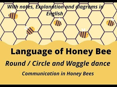 Language of Honey Bee Circle and Waggle dance