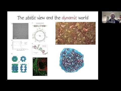 [TALK 6] Single Molecule Techniques - Chris Johnson - Biophysical Techniques Course 2022