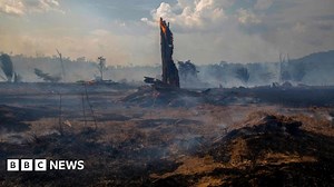 Deforested parts of Amazon 'emitting more CO2 than they absorb'