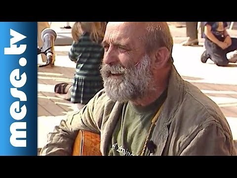 Gryllus Vilmos: Harkály (gyerekdal, koncert részlet) | MESE TV