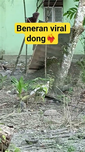 #soundviral #viral #shorts #trending