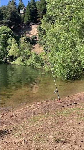 Lake Gregory Fishing | Catfish Cove #thefitrealtor #lake #fishing #outdoors #lakelots