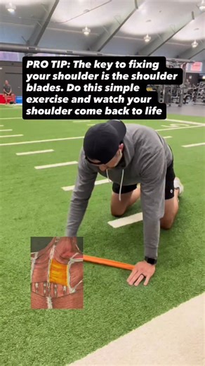 17K views · 319 reactions | Fix your shoulder blades first! If...