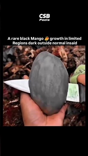 Black Mango? 😳 The Rare Fruit With a Secret Inside