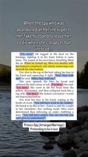 The Spare and The Spy: a slow burn fantasy romance book #slowburnromance