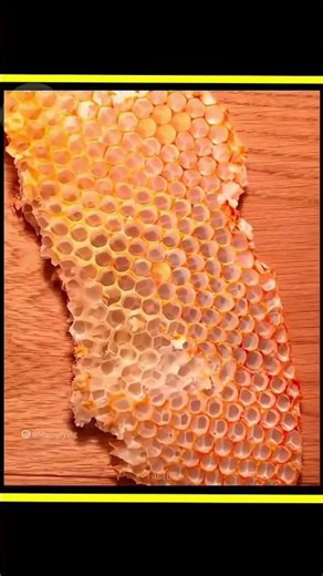 Microscope zooming video #facts