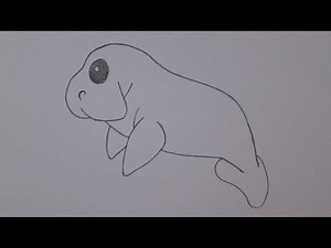 How to draw a manatee