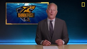 SHARKFEST2020- BaskingSharks