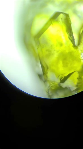 Crystalline Microscopy 🥼👨‍🔬🧪🔥 Science. 😸 🔬 Synthetic Material Growth Up Close The Geometry of Matter