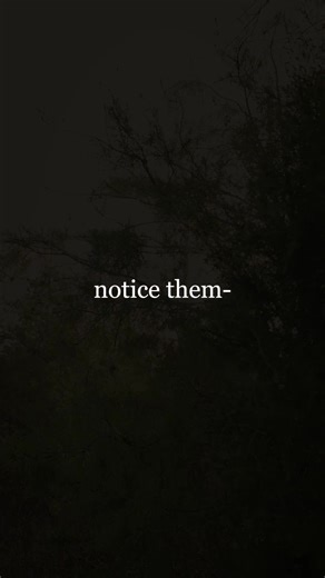 What do you notice? | quotes that hit hard