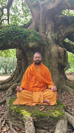 patwar pe ho raghuwar।। #mantrajyotish #mantrasadhna #topastrologersinindia #shortsfeed